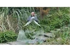 Çin’de görünmezlik pelerini videosu rekor kırdı