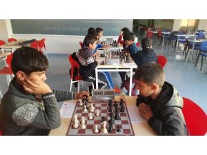 Ceylanpınar Belediyesi satranç takımından bir başarı daha