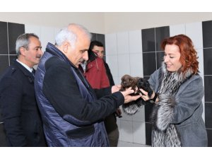 Vali Zorluoğlu, hayvan bakım evini ziyaret etti