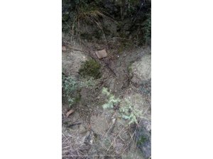 Ormanlık alanda mezar kazdığı iddia edilen 1 kişi yakalandı