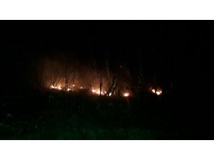 Hendek’te kısa süren orman yangınları söndürüldü