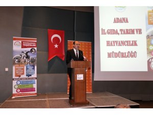 Adana’da buzağı ölümlerine karşı aşılama kampanyası