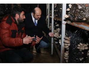 Kültür mantarı üreticilerine Başkan Orhan’dan destek