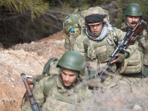 Afrin'de stratejik Burseya Dağı ele geçirildi