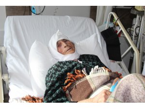 Demokrasi Nöbetine eşeği ile katılan Emine Nine hastanede tedavi altında
