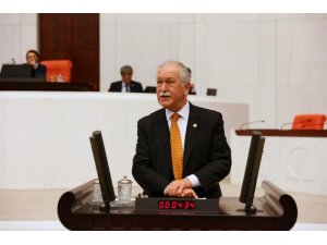 Bektaşoğlu, Meclis’te Giresun’un sorunlarını anlattı