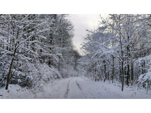 Meteorolojiden Trakya’ya kar uyarısı