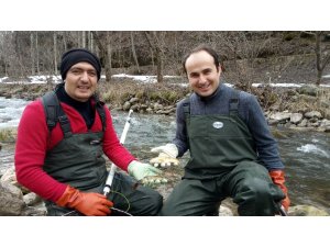 Yrd. Doç. Dr. Mustafa Akkuş; “Akarsulara kaçan çiftlik alabalıkları doğal türleri tehdit ediyor”
