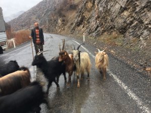 Beytüşşebaplı engelli çobanın yaşam mücadelesi