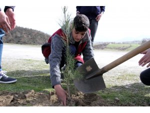 Hizan’da ağaçlandırma çalışması