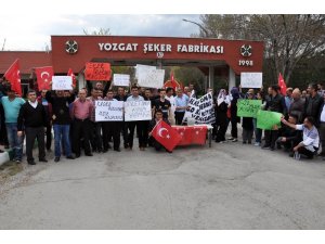 Yozgat Şeker Fabrikası’nda çalışan taşeron işçiler kadro istiyor