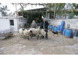 Büyükşehir’den şehit yakınlarına destek