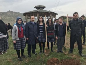 Bitlis’te fidan dikimi