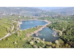 Fatsa Gaga Gölü büyülüyor