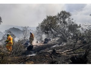 Avustralya’daki orman yangını büyüyor