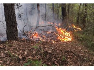 Ordu’da ormanlık alanda örtü yangını