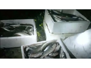 Mersin’de elektrikle balık avlayanlara suçüstü