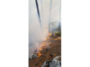 Sütçüler’deki yangında 3 hektar ormanlık alan zarar gördü