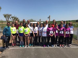 Atletizm bölge şampiyonası Çorlu’da gerçekleştirildi