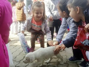 Minik öğrenciler sokak hayvanları ile buluştu