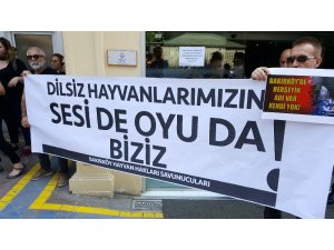 Hayvan hakları savunucularından Bakırköy Belediyesi’ne tepki