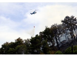 Antalya’daki orman yangınında 2 hektar kül oldu
