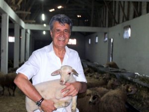 BTSO Eski Meclis başkanı hayvancılık sektörüne girdi