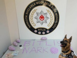Bitlis’te 11 bin adet uyuşturucu hap ele geçirildi