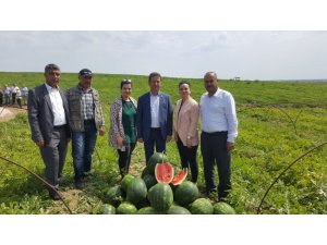 YZO Başkanı Mehmet Akın Doğan: “Karpuz ihracatı çiftçinin yüzünü güldürdü”