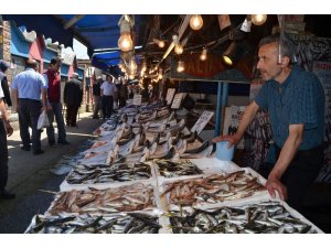Trabzon’da balık fiyatları geçen yılın aynı dönemine göre yüzde 50 arttı