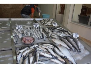 Sinop’ta Ramazan’da balık satışları düştü