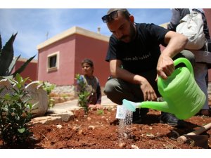 Türkiye’den gönderilen 100 fidan Suriye’de toprakla buluştu