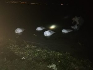 Erciş’te 3 ton inci kefali balığı ele geçirildi