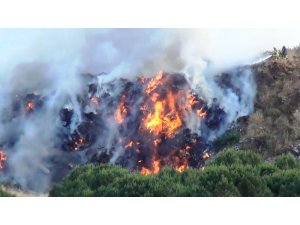 Ayvalık’ta  çöplük yangını ormanlık alana sıçramadan güçlükle kontrol altına alındı