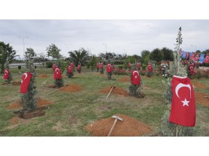Afrin Şehitleri için Trabzon’da hatıra ormanı oluşturuldu