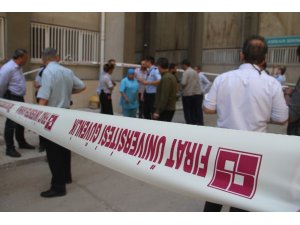 Elazığ’da 6. kattan atlayan kadın öldü