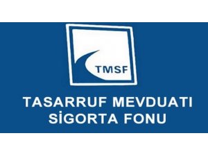 TMSF’den döviz hamlesi