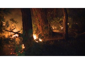 Abhazya’da orman yangını söndürülemedi