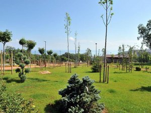 Trabzon'un 103 dönümlük botanik bahçesi tamamlanıyor