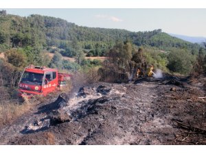 Ula’da 2 hektar alan yandı