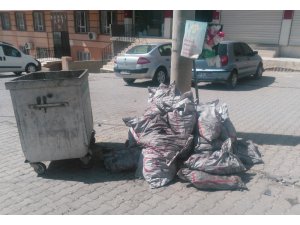 Devletin verdiği onlarca torba kömürü çöpe attılar