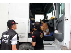 Nevşehir polisi uyuşturucuya geçit vermedi: 2 buçuk kilo bonzai ele geçirildi