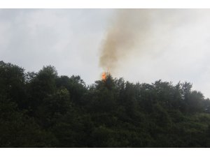 Rize’de yıldırım orman yaktı