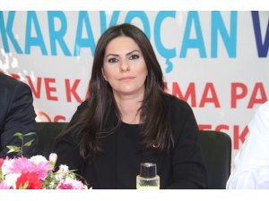 Bakan Sarıeroğlu: "Kılıçdaroğlu’nun açtığı kara gedikleri kapamaya başladık”