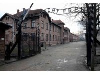 Auschwitz kampında "Nazi selamı" veren Hollandalı turiste para cezası