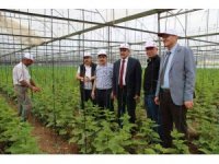 Konya’da İyi Tarım Uygulamalarının Yaygınlaştırılması Projesi sürüyor