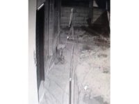Iğdır’da ’silahlı hırsızlık girişimi’ güvenlik kamerasına yansıdı