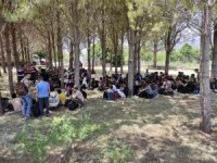 Muğla’da 237 göçmenin yakalandığı operasyonda 3 tutuklama