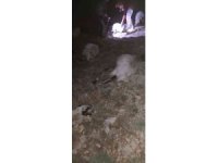 Yıldırım düştü çoban yaralandı, 63 koyun telef oldu