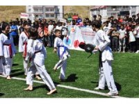 Bitlis’te yaz spor okulları açıldı